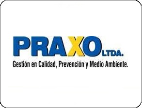 LogoPraxoLTDA
